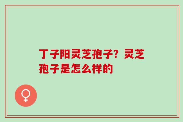 丁子阳灵芝孢子?灵芝孢子是怎么样的 丁子阳灵芝孢子?灵芝孢子是怎么样的