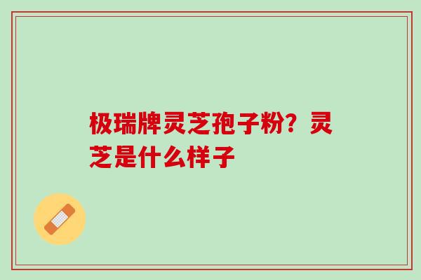 极瑞牌灵芝孢子粉?灵芝是什么样子 极瑞牌灵芝孢子粉?灵芝是什么样子