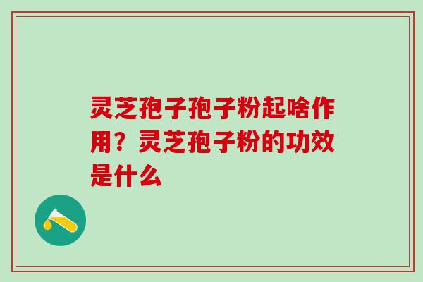 灵芝孢子孢子粉起啥作用？灵芝孢子粉的功效是什么