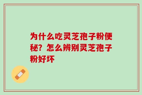 为什么吃灵芝孢子粉便秘？怎么辨别灵芝孢子粉好坏