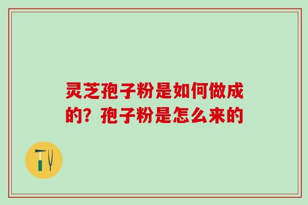 灵芝孢子粉是如何做成的？孢子粉是怎么来的