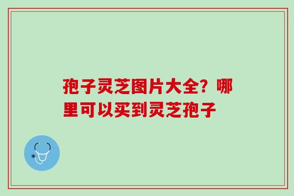 孢子灵芝图片大全?哪里可以买到灵芝孢子 孢子灵芝图片大全?哪里可以买到灵芝孢子