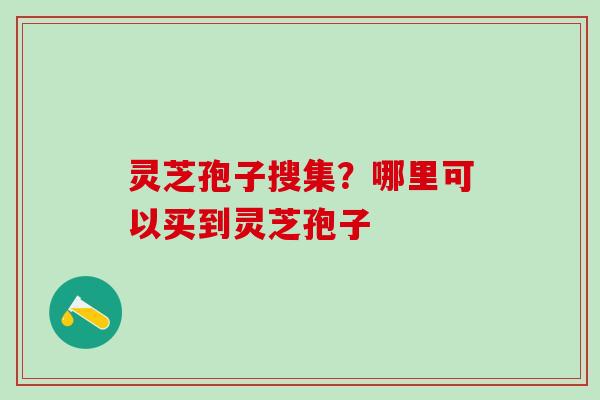 灵芝孢子搜集？哪里可以买到灵芝孢子