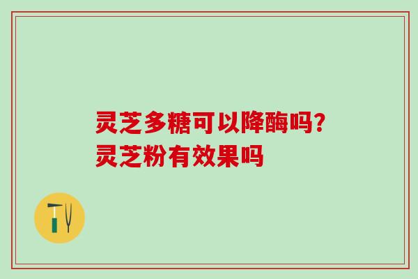 灵芝多糖可以降酶吗?灵芝粉有效果吗 灵芝多糖可以降酶吗?灵芝粉有效果吗