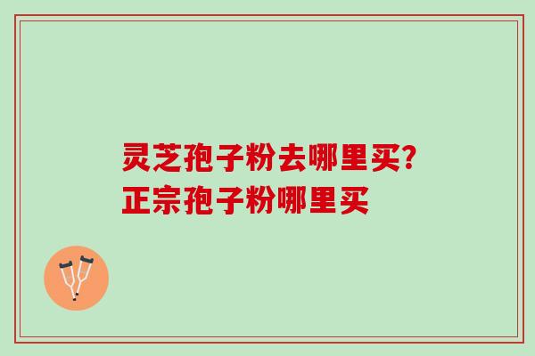 灵芝孢子粉去哪里买？正宗孢子粉哪里买