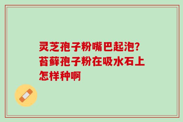 灵芝孢子粉嘴巴起泡？苔藓孢子粉在吸水石上怎样种啊