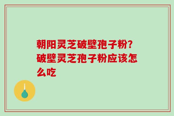 朝阳灵芝破壁孢子粉？破壁灵芝孢子粉应该怎么吃