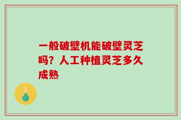 一般破壁机能破壁灵芝吗？人工种植灵芝多久成熟