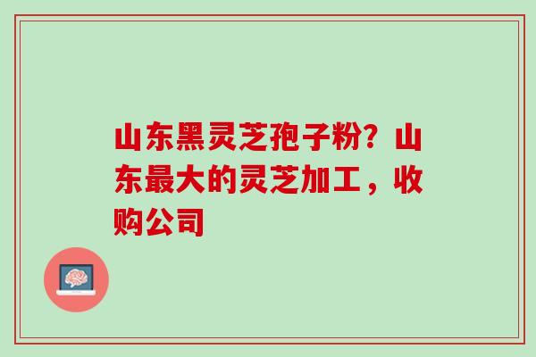 山东黑灵芝孢子粉？山东最大的灵芝加工，收购公司