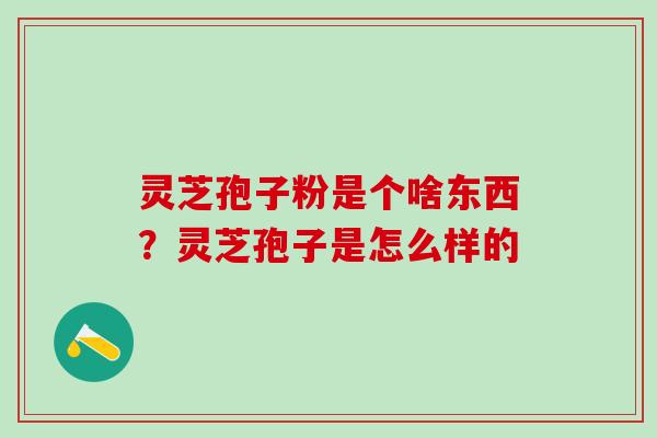 灵芝孢子粉是个啥东西?灵芝孢子是怎么样的 灵芝孢子粉是个啥东西?灵芝孢子是怎么样的