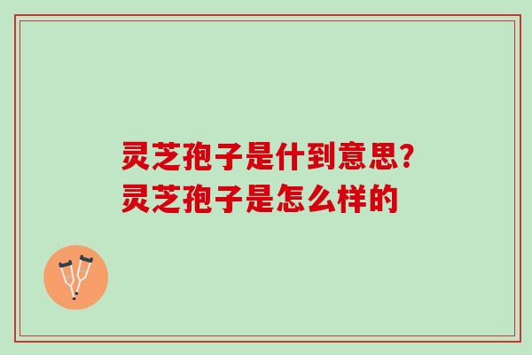 灵芝孢子是什到意思?灵芝孢子是怎么样的 灵芝孢子是什到意思?灵芝孢子是怎么样的