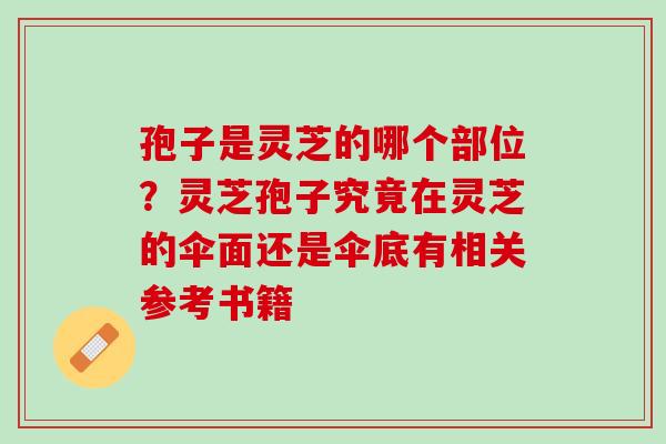 孢子是灵芝的哪个部位？灵芝孢子究竟在灵芝的伞面还是伞底有相关参考书籍