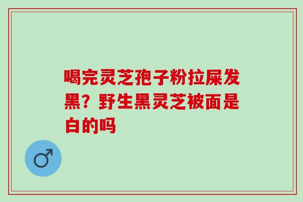 喝完灵芝孢子粉拉屎发黑？野生黑灵芝被面是白的吗