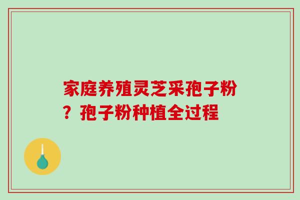 家庭养殖灵芝采孢子粉？孢子粉种植全过程