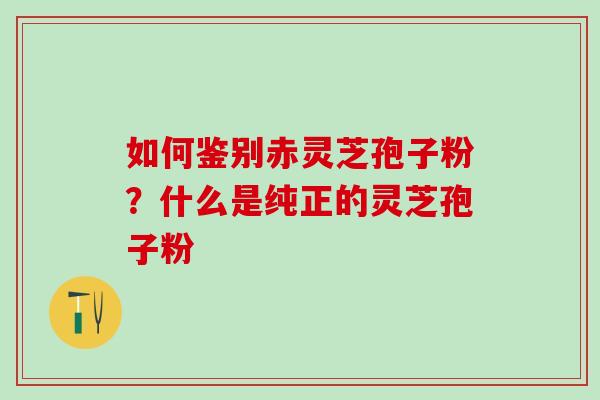 如何鉴别赤灵芝孢子粉？什么是纯正的灵芝孢子粉