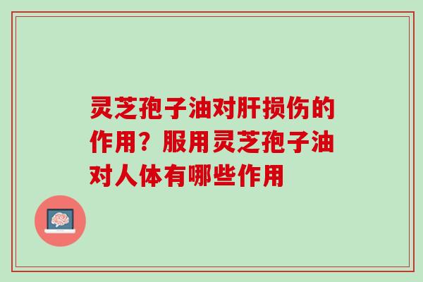 灵芝孢子油对肝损伤的作用？服用灵芝孢子油对人体有哪些作用