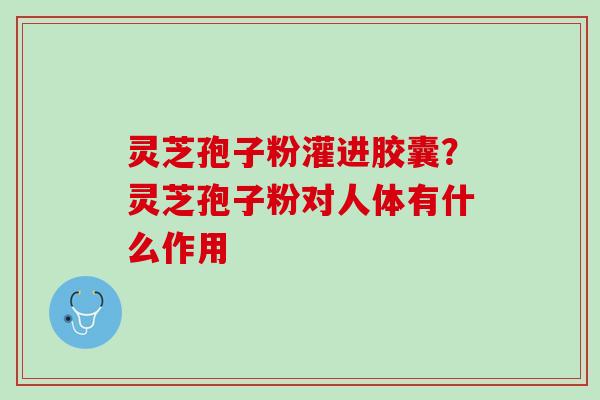 灵芝孢子粉灌进胶囊？灵芝孢子粉对人体有什么作用
