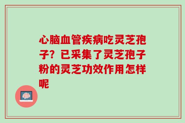心脑血管疾病吃灵芝孢子？已采集了灵芝孢子粉的灵芝功效作用怎样呢