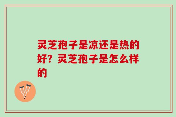 灵芝孢子是凉还是热的好？灵芝孢子是怎么样的