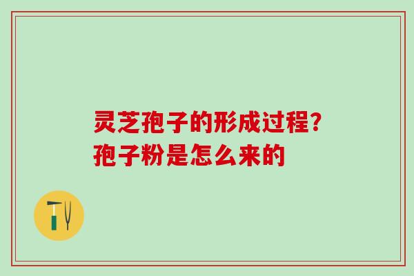 灵芝孢子的形成过程？孢子粉是怎么来的