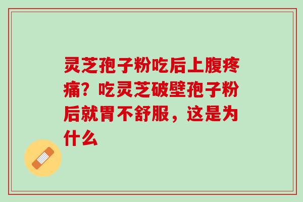 灵芝孢子粉吃后上腹疼痛？吃灵芝破壁孢子粉后就胃不舒服，这是为什么