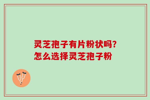 灵芝孢子有片粉状吗？怎么选择灵芝孢子粉