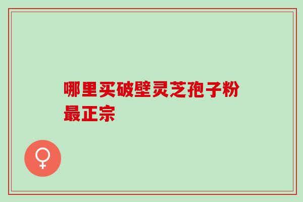 哪里买破壁灵芝孢子粉正宗