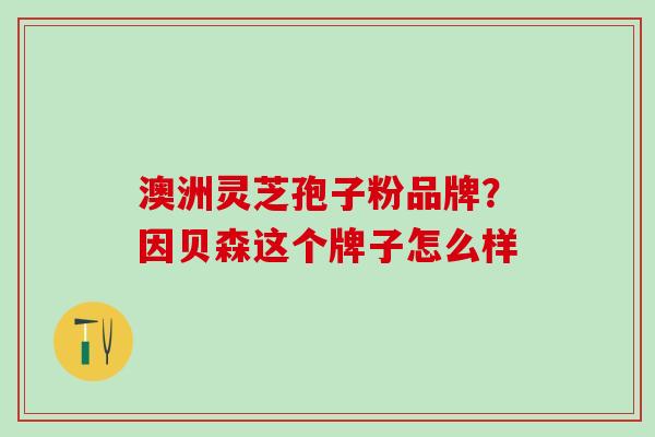 澳洲灵芝孢子粉品牌？因贝森这个牌子怎么样