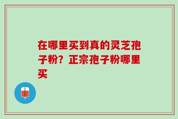 在哪里买到真的灵芝孢子粉？正宗孢子粉哪里买