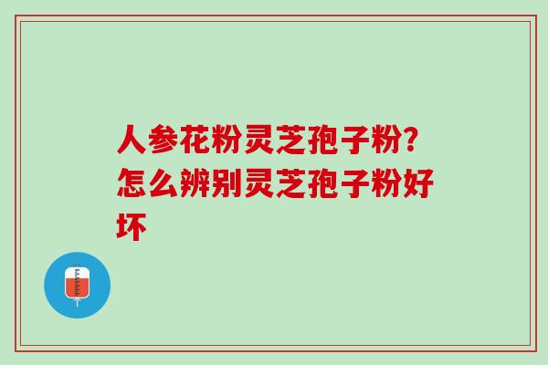 人参花粉灵芝孢子粉?怎么辨别灵芝孢子粉好坏 人参花粉灵芝孢子粉?怎么辨别灵芝孢子粉好坏