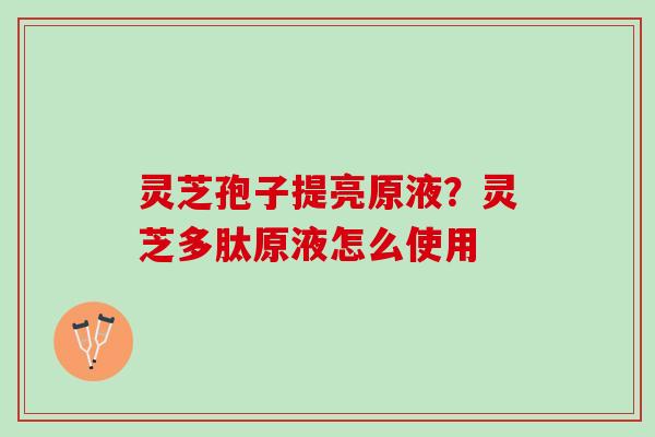 灵芝孢子提亮原液？灵芝多肽原液怎么使用