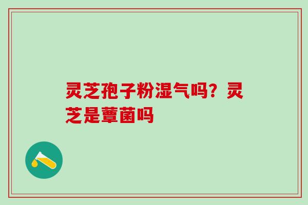 灵芝孢子粉湿气吗？灵芝是蕈菌吗