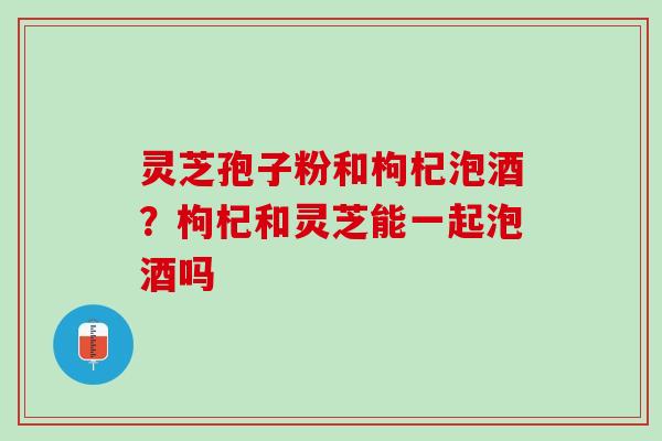 灵芝孢子粉和枸杞泡酒？枸杞和灵芝能一起泡酒吗