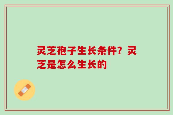 灵芝孢子生长条件？灵芝是怎么生长的