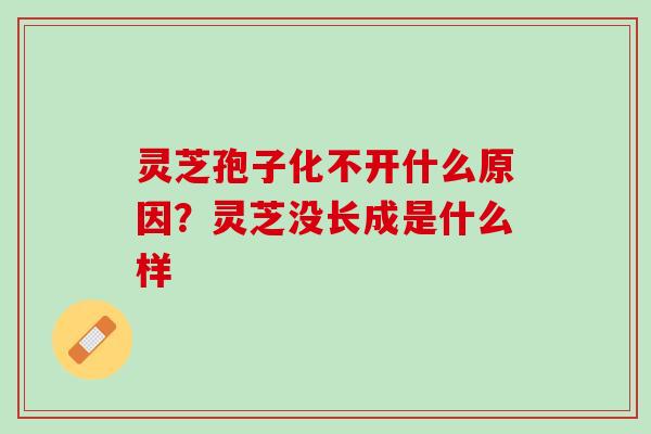 灵芝孢子化不开什么原因？灵芝没长成是什么样