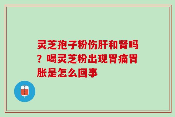 灵芝孢子粉伤和吗？喝灵芝粉出现胃痛胃胀是怎么回事