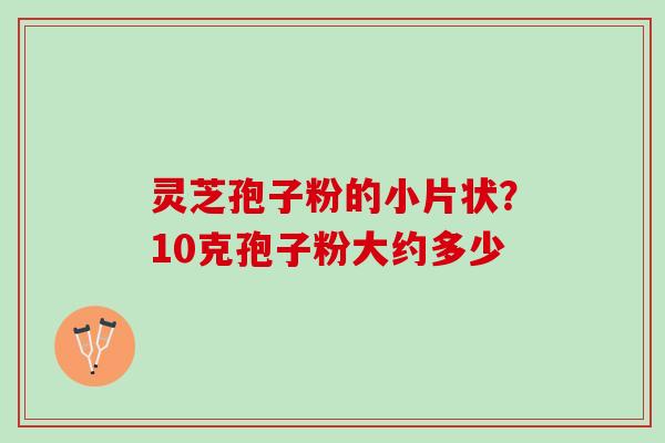 灵芝孢子粉的小片状？10克孢子粉大约多少