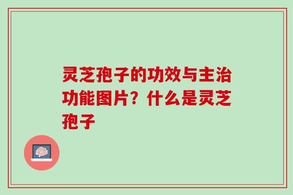灵芝孢子的功效与主功能图片？什么是灵芝孢子