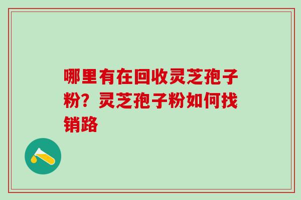 哪里有在回收灵芝孢子粉？灵芝孢子粉如何找销路