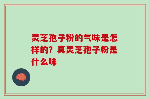 灵芝孢子粉的气味是怎样的？真灵芝孢子粉是什么味