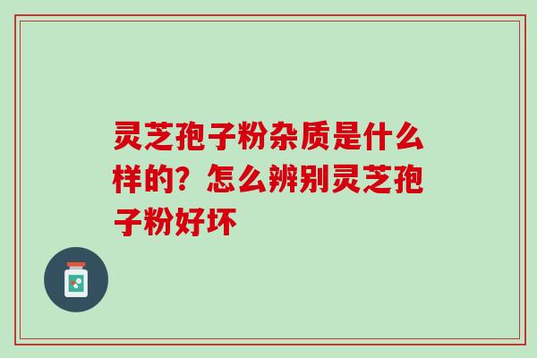 灵芝孢子粉杂质是什么样的？怎么辨别灵芝孢子粉好坏