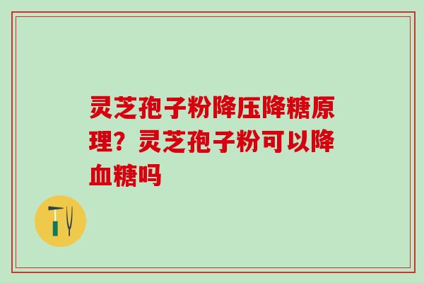 灵芝孢子粉降压降糖原理？灵芝孢子粉可以降血糖吗