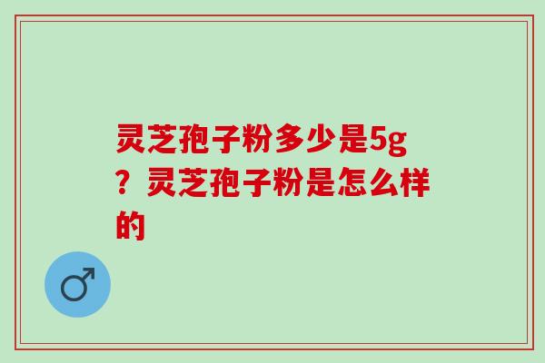 灵芝孢子粉多少是5g？灵芝孢子粉是怎么样的