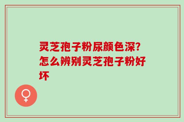 灵芝孢子粉尿颜色深？怎么辨别灵芝孢子粉好坏