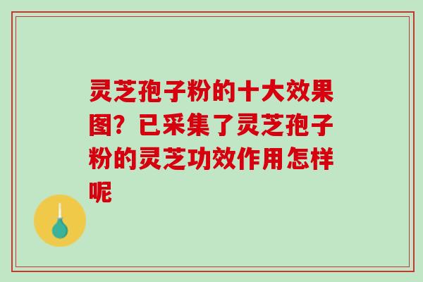 灵芝孢子粉的十大效果图?已采集了灵芝孢子粉的灵芝功效作用怎样呢 灵芝孢子粉的十大效果图?已采集了灵芝孢子粉的灵芝功效作用怎样呢