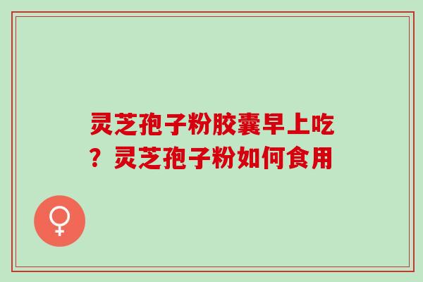 灵芝孢子粉胶囊早上吃？灵芝孢子粉如何食用