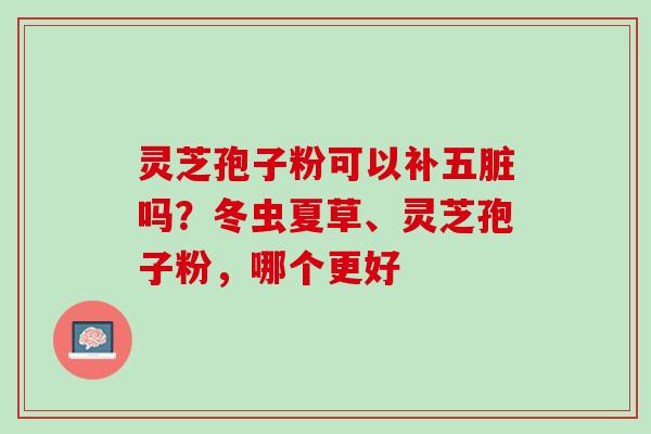 灵芝孢子粉可以补五脏吗?冬虫夏草、灵芝孢子粉,哪个更好 灵芝孢子粉可以补五脏吗?冬虫夏草、灵芝孢子粉,哪个更好