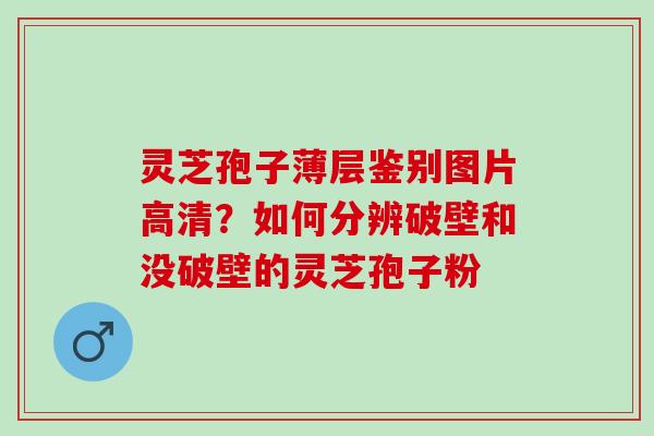 灵芝孢子薄层鉴别图片高清？如何分辨破壁和没破壁的灵芝孢子粉