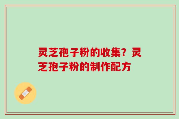灵芝孢子粉的收集？灵芝孢子粉的制作配方