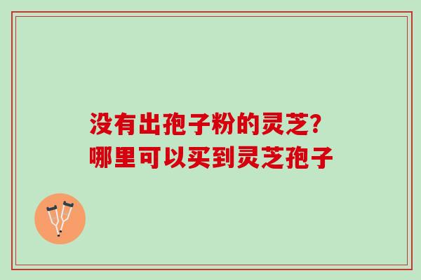 没有出孢子粉的灵芝？哪里可以买到灵芝孢子